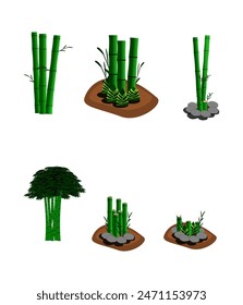 bamboo tree, bamboo tree shoots, bamboo tree trunk