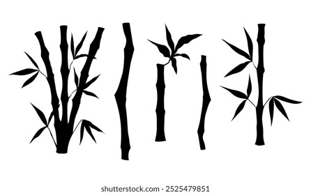 Bamboo tree stem with leaves silhouette. Set of bamboo tree. Vector illustration