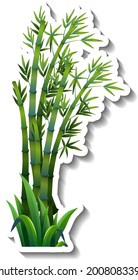 Bamboo tree sticker on white background illustration