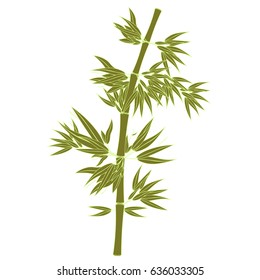 Bamboo tree tropical china japan  Vector illustration