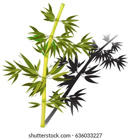 Bamboo tree tropical with shadow china japan  Vector illustration