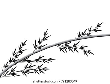 bamboo tree vector