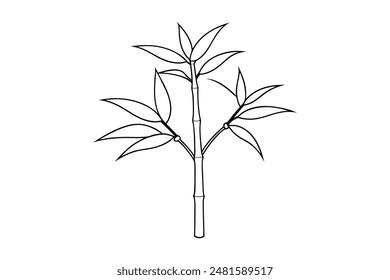 A bamboo tree vector illustration