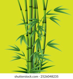 Bamboo tree vector illustration for use.