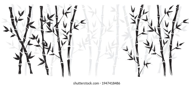 Bamboo tree. Vector illustrations. Hand drawn style. 	