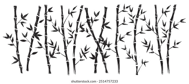 Bamboo tree, vector illustrations. Hand drawn style.