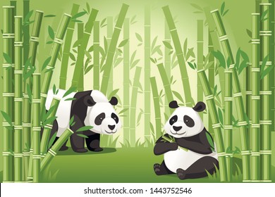 Bamboo trees asian forest landscape with two cute big panda one of them eating bamboo flat vector illustration