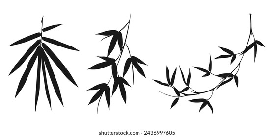 bamboo trees. black isolated white background