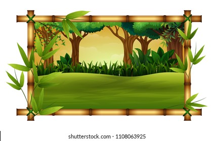 Bamboo trees in frame nature