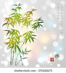 Bamboo trees hand-drawn with ink in traditional Japanese painting style sumi-e. Contains hieroglyph - happiness, joy