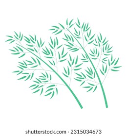 Bamboo trees illustration. Hand drawn flat style vector, isolated. Plant, foliage, botanical design element, Asian flora