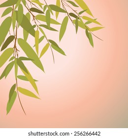 Bamboo trees and leaves at sunset time. Vector illustration.