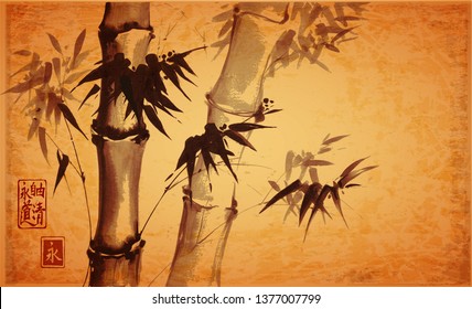 Bamboo trees on vintage background. Traditional Japanese ink wash painting sumi-e.  Hieroglyphs - eternity. freedom, clarity, way