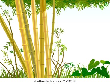   BAMBOO TREES   ORIENTAL BACKGROUND  - NEW ( EPS 10 )