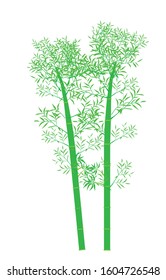 bamboo trees with a white background, for banners or background, vector illustration  