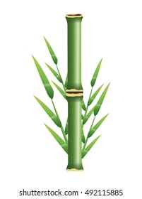 Bamboo trunk with leaves design