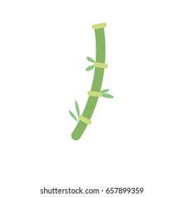 bamboo twig natural china ecology