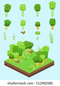 Bamboo at various stages set for isometric bamboo forest scene.