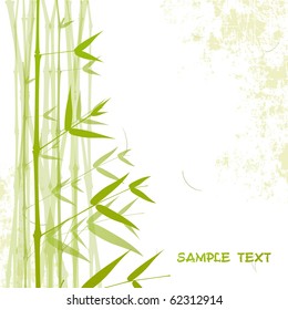 Bamboo. Vector.