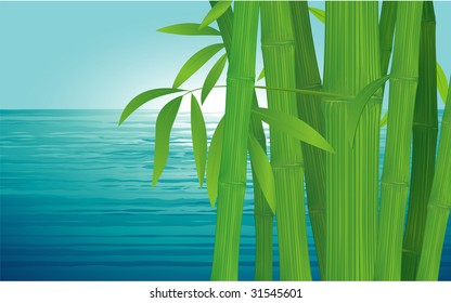 Bamboo. Vector background.