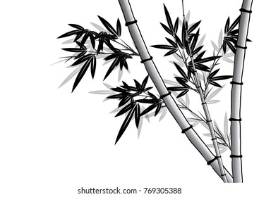 bamboo vector drawing