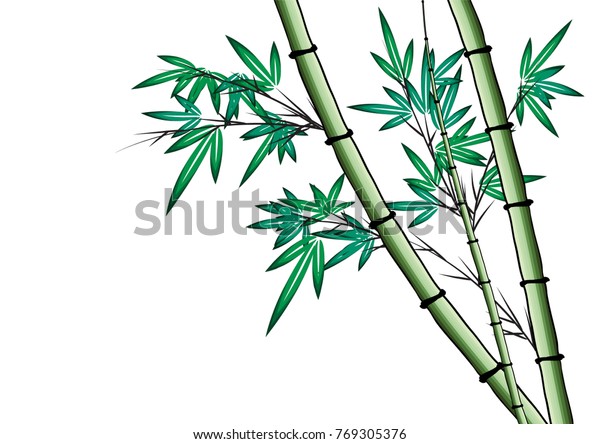 Bamboo Drawing - Carinewbi