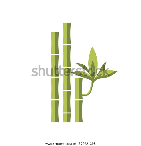 Bamboo Vector Flat Illustration Leaf Green Stock Vector Royalty Free