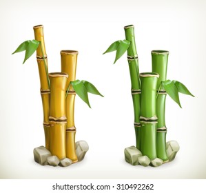 Bamboo, Vector Icon