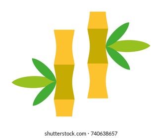 Bamboo vector icon