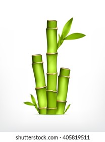 Bamboo. Vector icon. EPS10