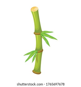 Bamboo vector icon.Cartoon vector icon isolated on white background bamboo.
