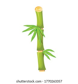 Bamboo vector icon.Cartoon vector icon isolated on white background bamboo.