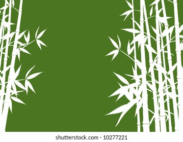 Bamboo, vector illustration