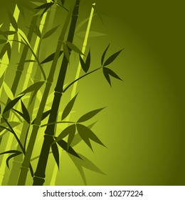 Bamboo, vector illustration