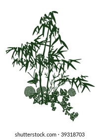 Bamboo, vector illustration