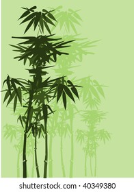  bamboo, vector illustration