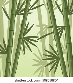 Bamboo vector illustration