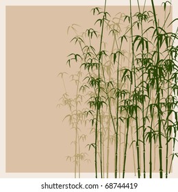 Bamboo vector illustration.