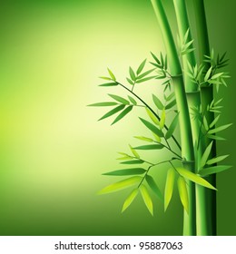 Bamboo vector illustration