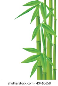 bamboo, vector illustration with copy space