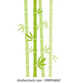 Bamboo vector illustration isolated on white background.