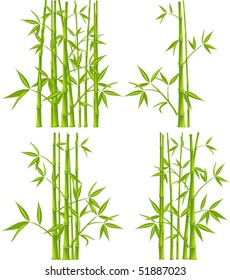 Bamboo, vector illustration (mesh)