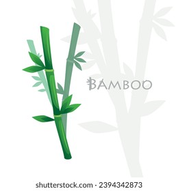 Bamboo vector illustration on white background. Use for logos, emblems or website. Printing.