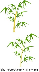 Bamboo vector illustration on white background