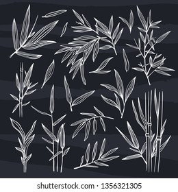 Bamboo vector illustrations on black background. Beautiful leaves and plants outline drawing set