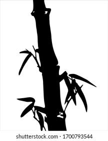 Bamboo. Vector. Ink image of bamboo branches and leaves. Oriental, chinese, japanese, korean style. Black and white image.