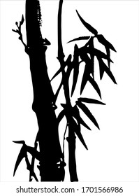 Bamboo. Vector. Ink image of bamboo branches and leaves. Oriental, chinese, japanese, korean style. Black and white image.