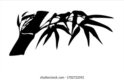 Bamboo. Vector. Ink image of bamboo branches and leaves. Oriental, chinese, japanese, korean style. Black and white image.
