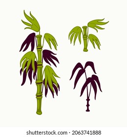 Bamboo vector, japanese bamboo leaves, and stems in oriental style background. Organic flat style vector illustration on white background
