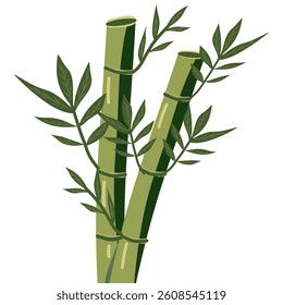bamboo vector in japanese style